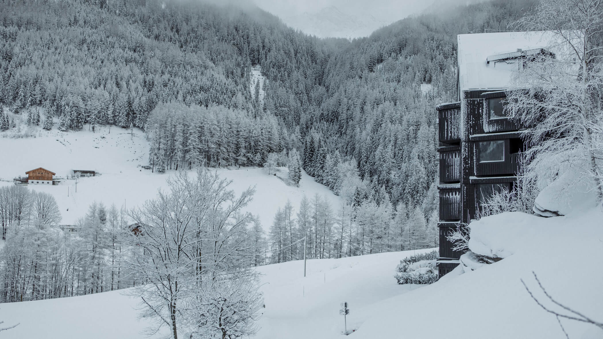 Verschneite Landschaft am Bühlerwirt